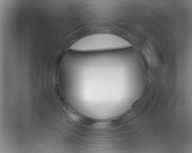 X0000070410422200606091000