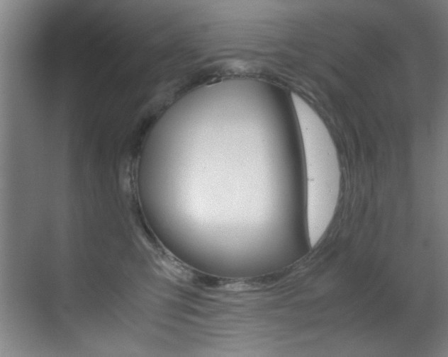 X0000070410423200606091000