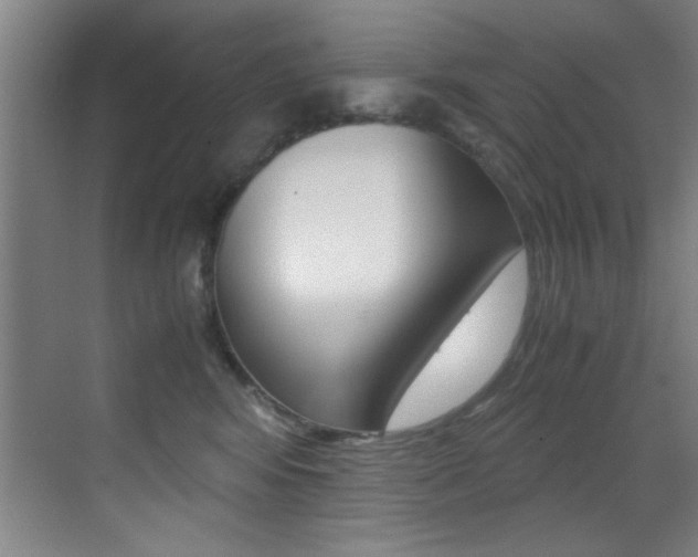 X0000070410424200606091000