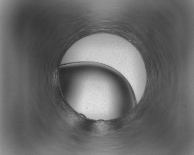 X0000070410425200606091000