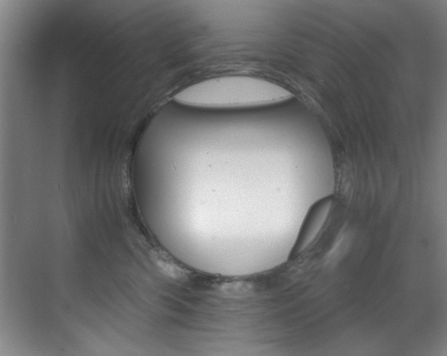 X0000070410426200606091000