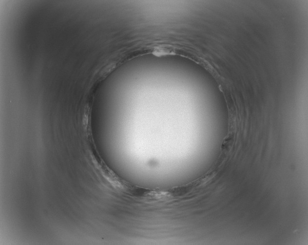 X0000070410427200606091000