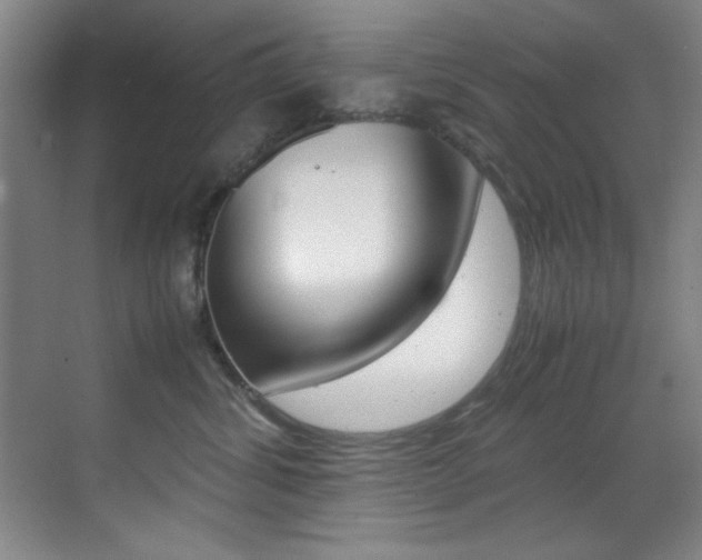 X0000070410428200606091000