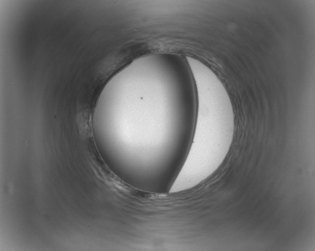 X0000070410429200606091000