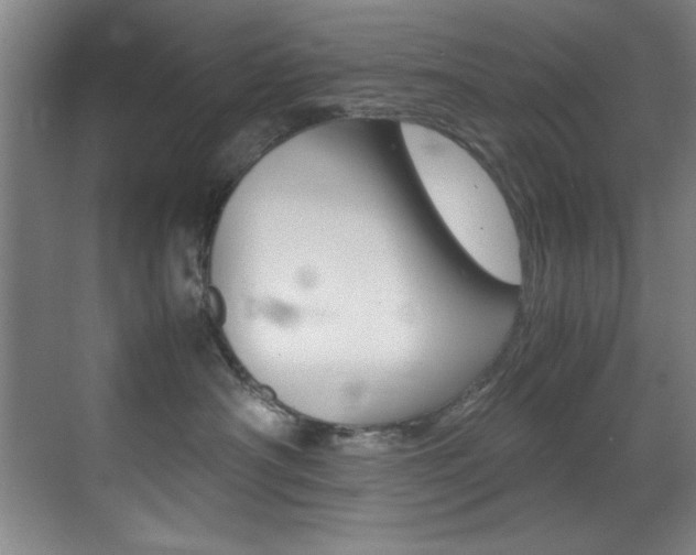 X0000070410430200606091000