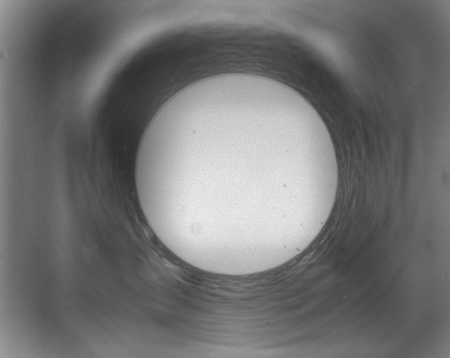 X0000070410431200606091000