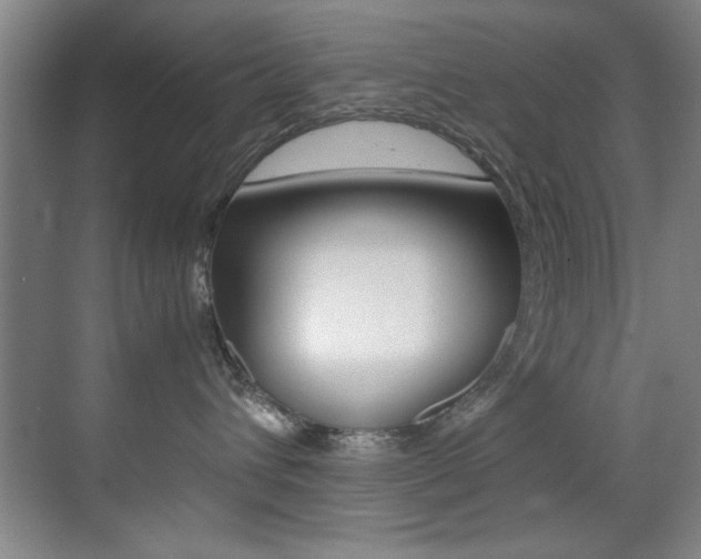 X0000070410432200606091000