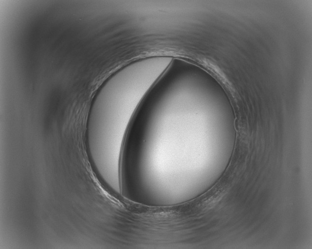 X0000070410433200606090959