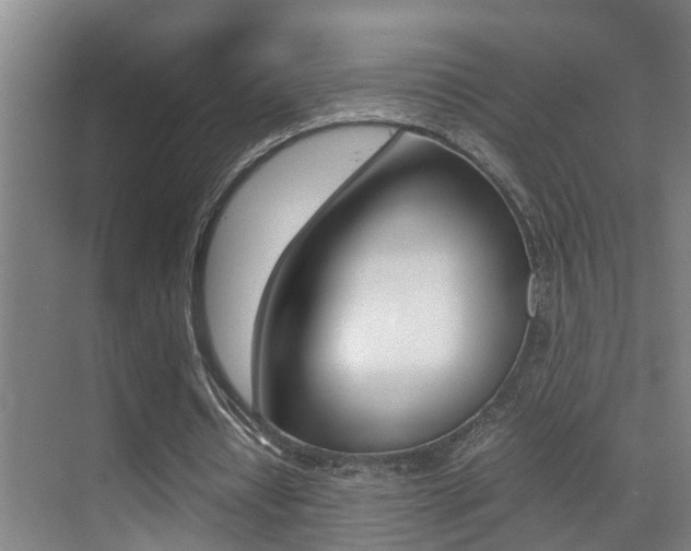 X0000070410434200606090959