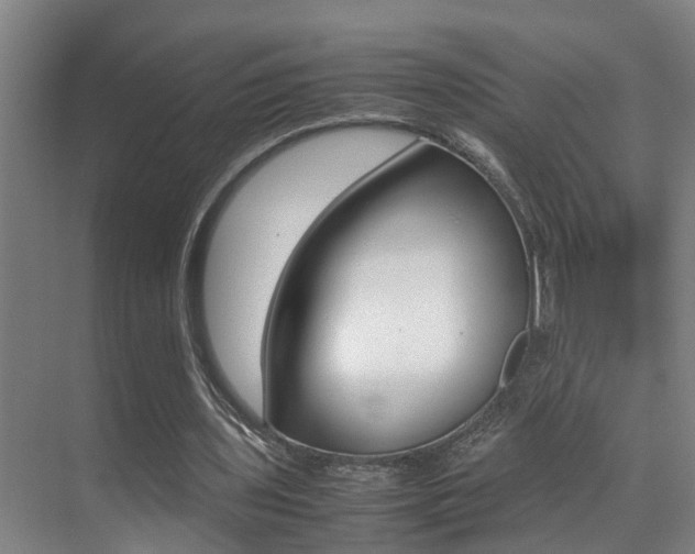 X0000070410435200606090959