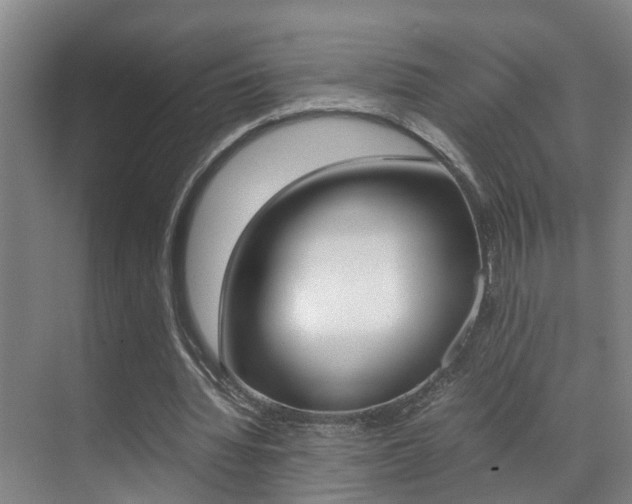 X0000070410436200606090959