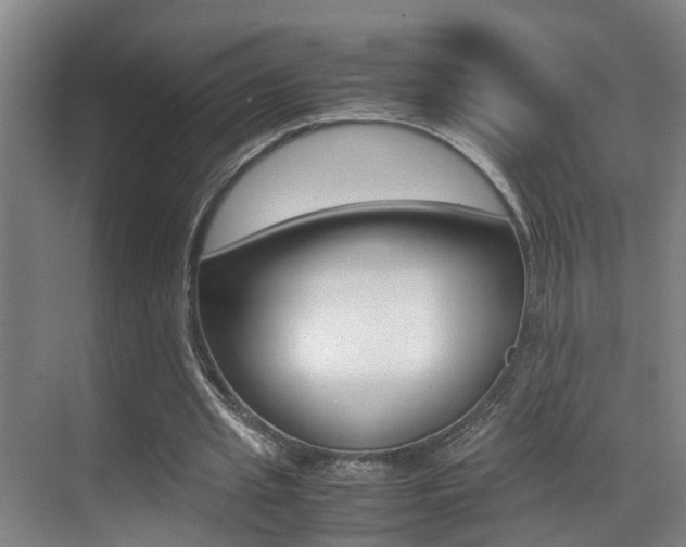 X0000070410437200606090959