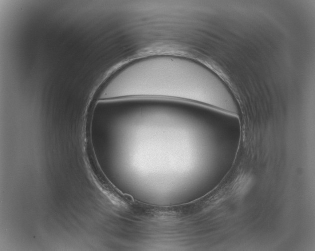 X0000070410438200606090959