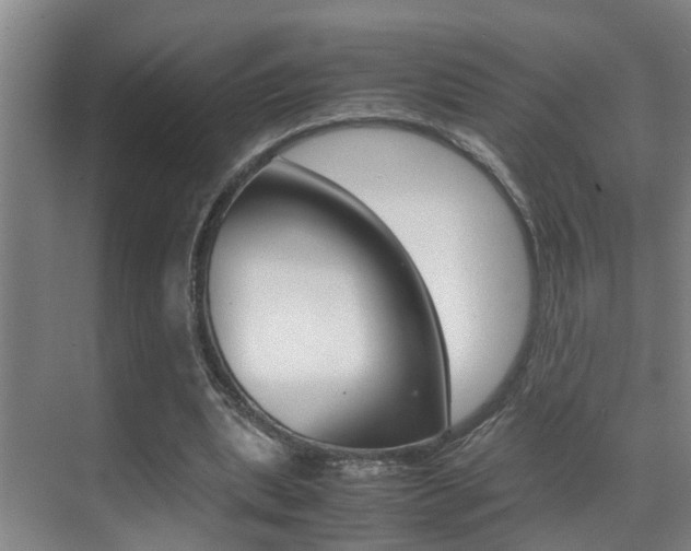 X0000070410439200606090959