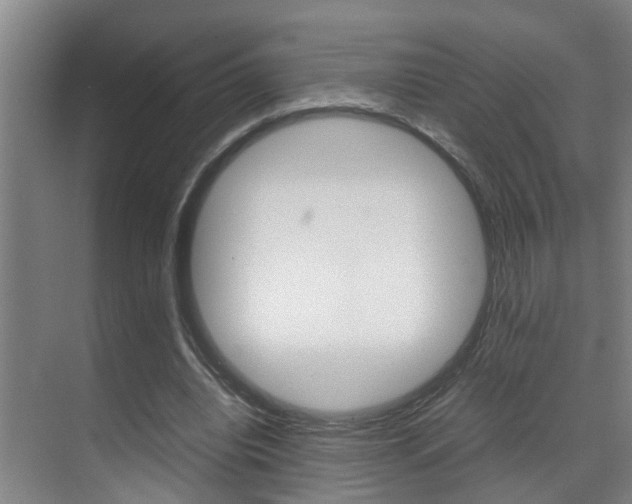 X0000070410440200606090959