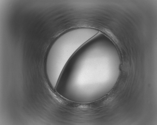 X0000070410441200606090959