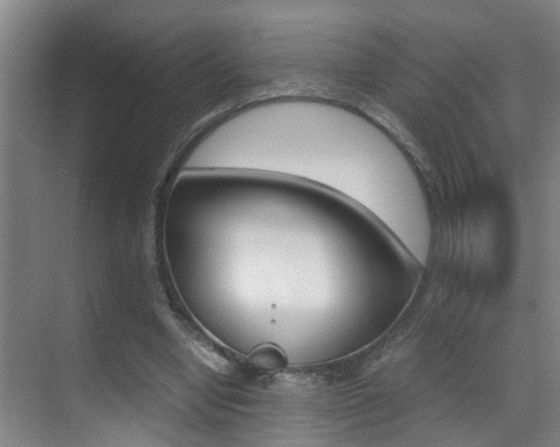 X0000070410442200606090959