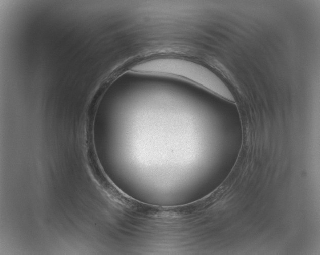 X0000070410444200606090959