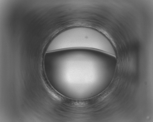 X0000070410445200606091000