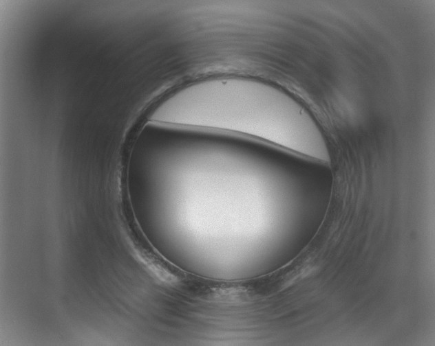 X0000070410446200606091000