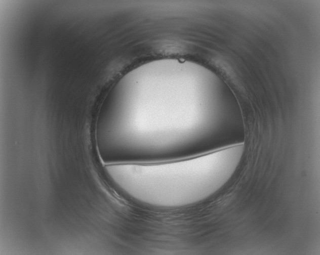 X0000070410447200606091000