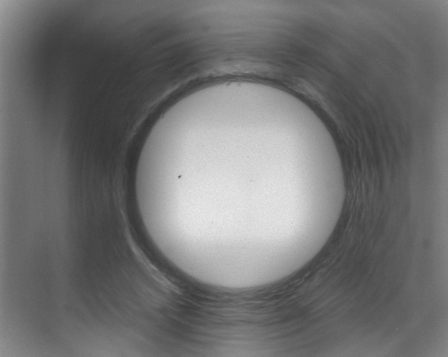 X0000070410448200606091000