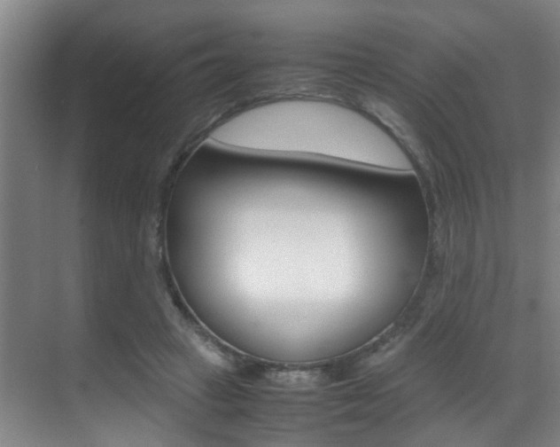 X0000070410449200606091000