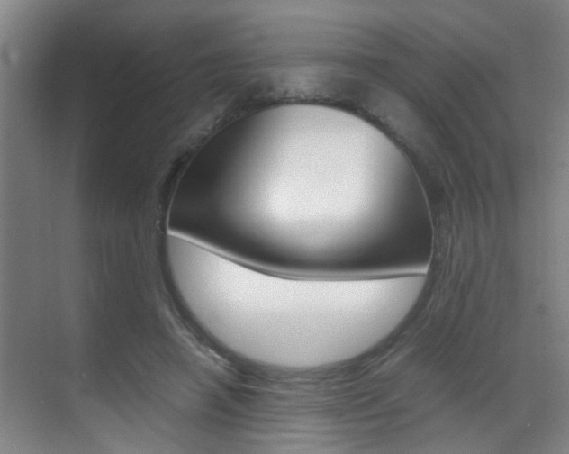 X0000070410450200606091000