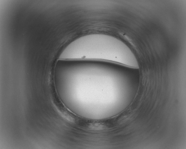 X0000070410451200606091000