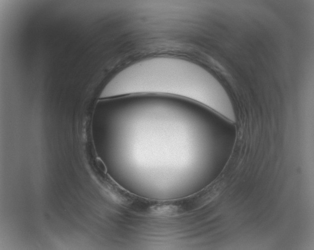 X0000070410452200606091000