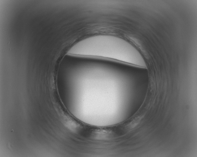 X0000070410453200606091000