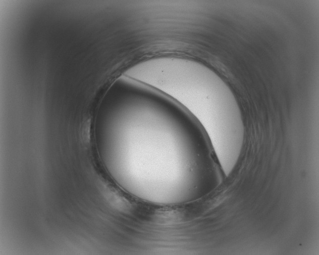 X0000070410454200606091000