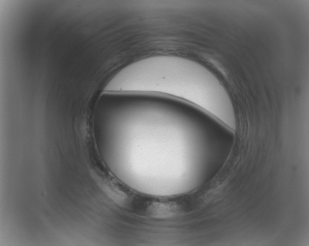 X0000070410455200606091000