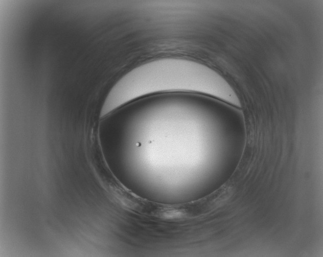 X0000070410456200606091000