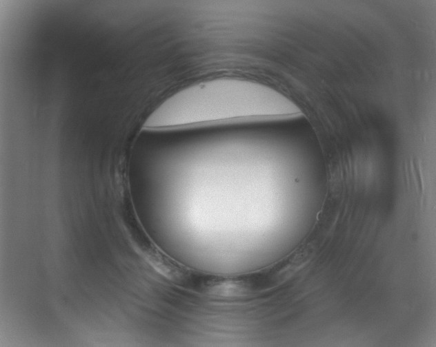 X0000070410460200606091000