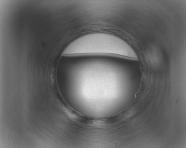 X0000070410462200606091000