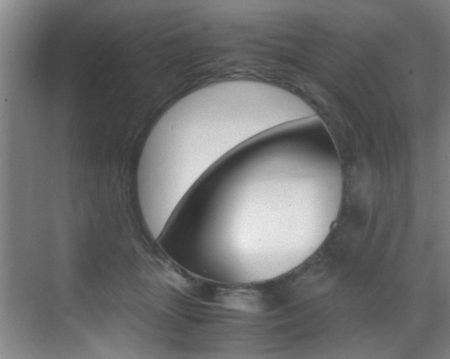 X0000070410463200606091000