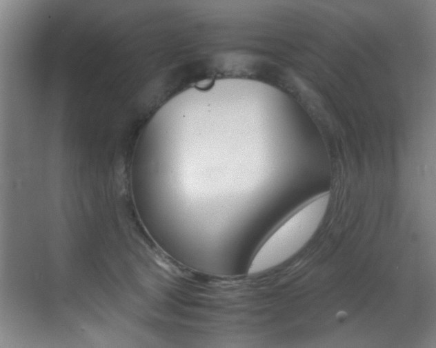 X0000070410465200606091000