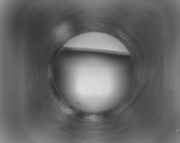 X0000070410467200606091000