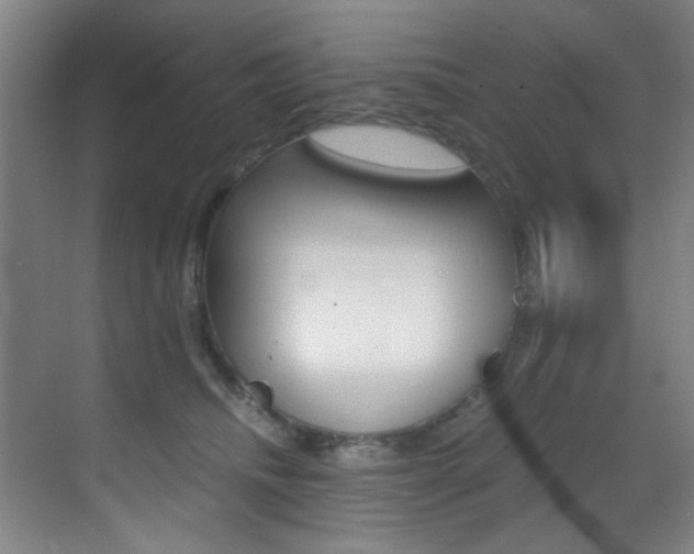 X0000070410468200606091000