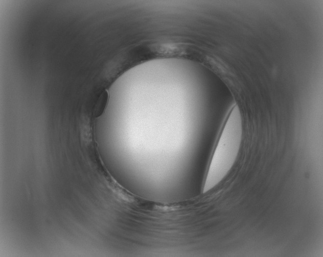 X0000070410469200606091000