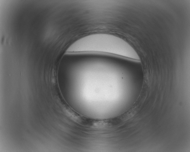 X0000070410470200606091000