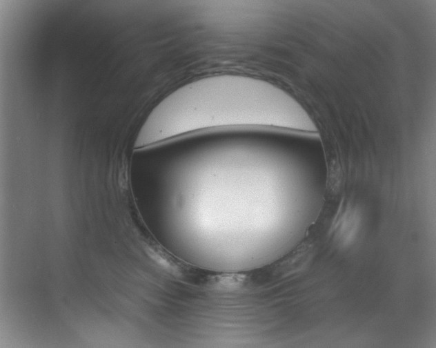 X0000070410474200606091000