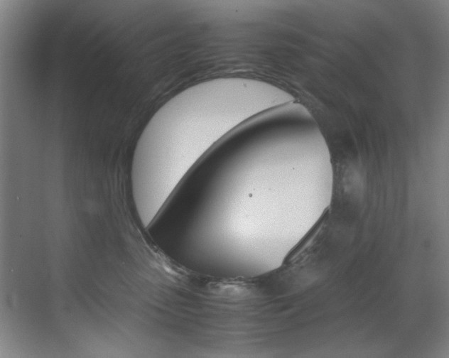 X0000070410475200606091000