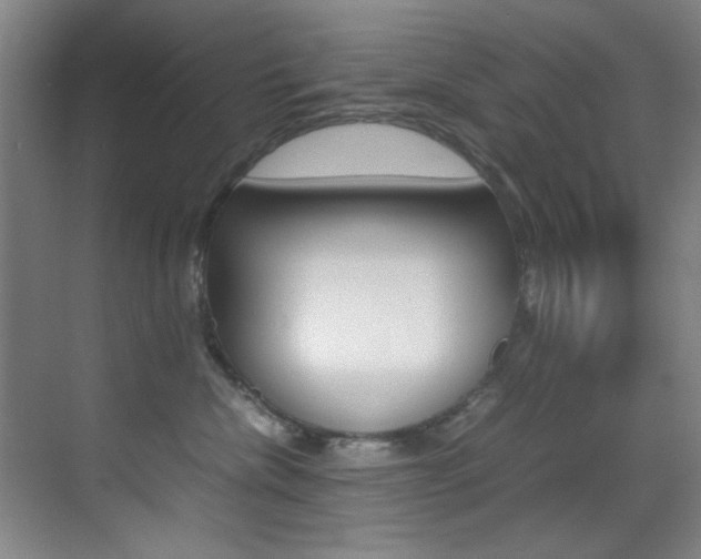 X0000070410476200606091000