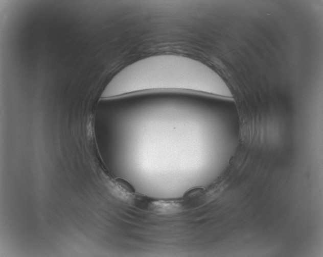 X0000070410477200606091000