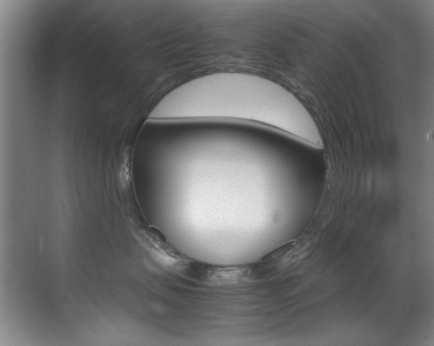 X0000070410479200606091000