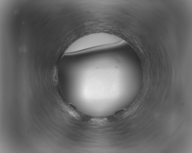 X0000070410480200606091000