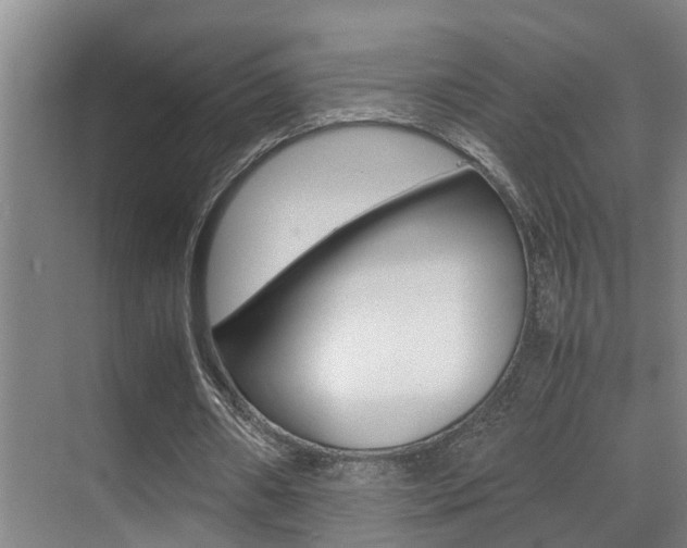 X0000070410482200606090959