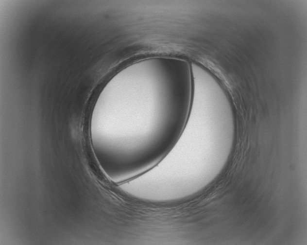 X0000070410483200606090959